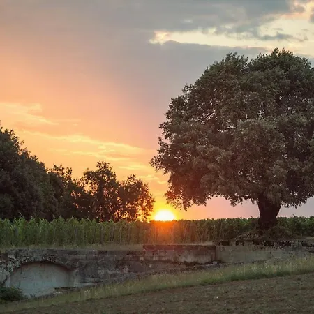 Le Relais De Franc Mayne Emilion 4* Saint-Emilion