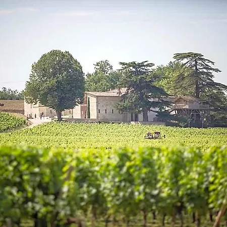 Le Relais De Franc Mayne Emilion
