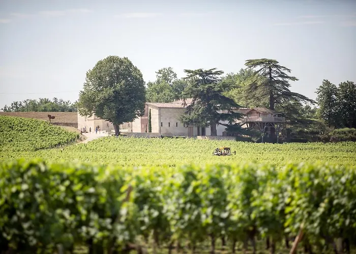 Bed & Breakfast Le Relais De Franc Mayne Emilion Saint-Émilion